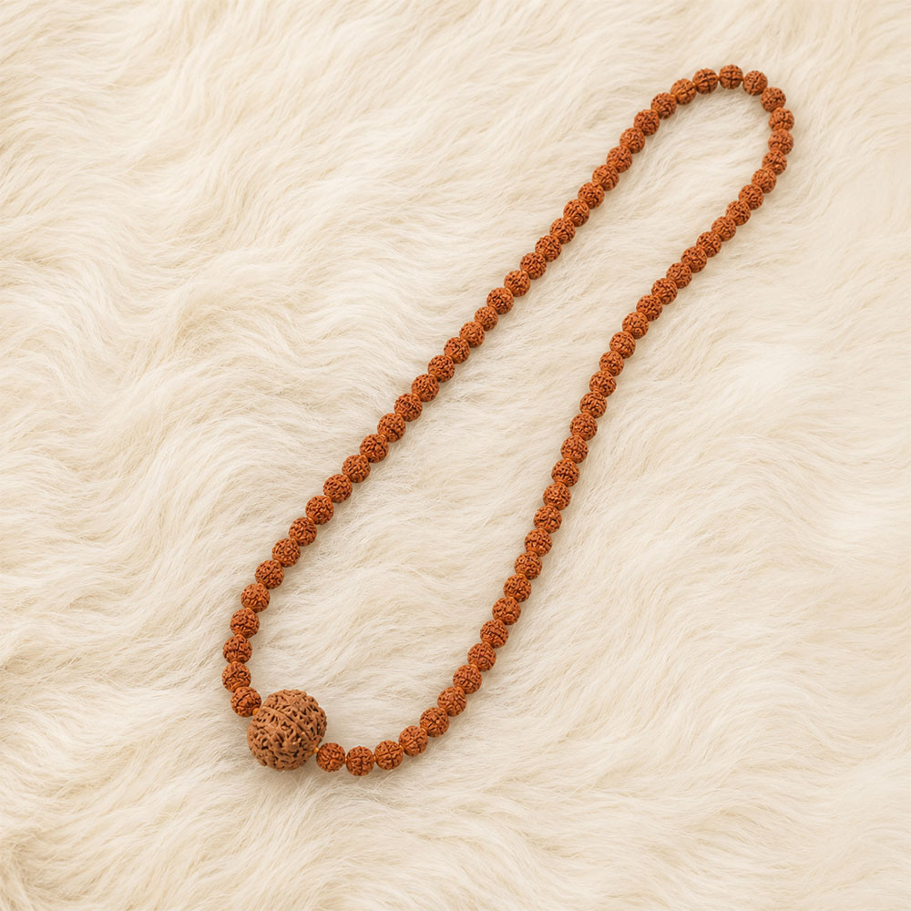 Premium Skanda Shakti 6 Mukhi Rudraksha Mala